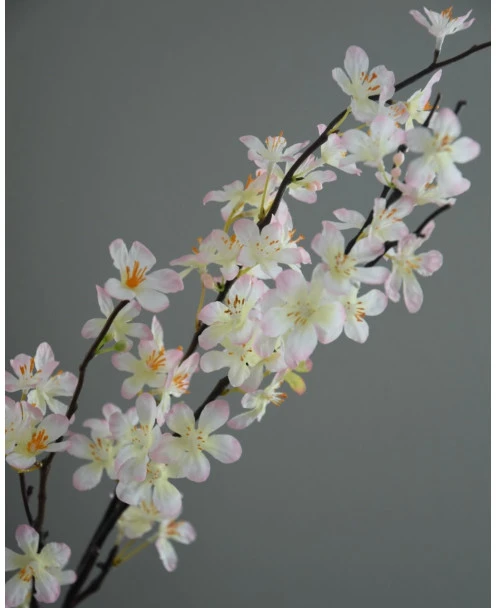 Appelbloesem Tak Zacht Roze - Afbeelding 2