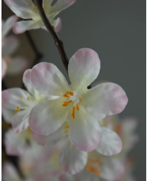 Appelbloesem Tak Zacht Roze - Afbeelding 3