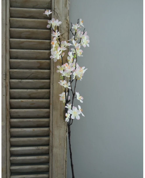 Appelbloesem Tak Zacht Roze - Afbeelding 4