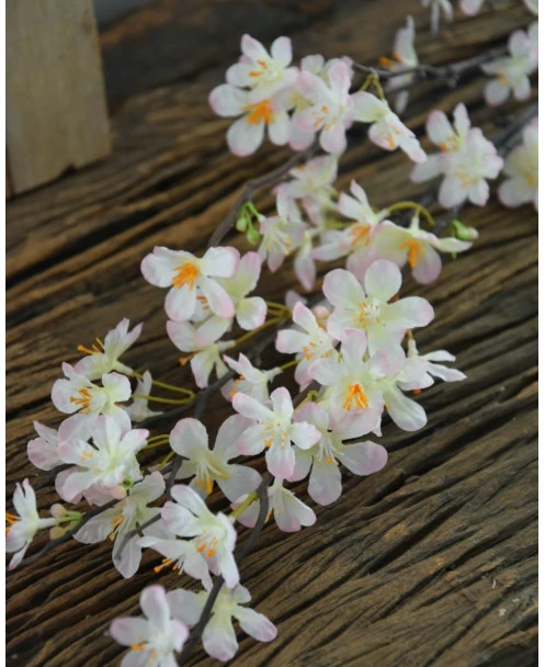 Appelbloesem Tak Zacht Roze - Afbeelding 5