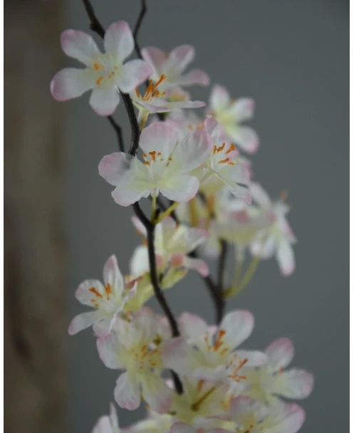 Appelbloesem Tak Zacht Roze - Afbeelding 7