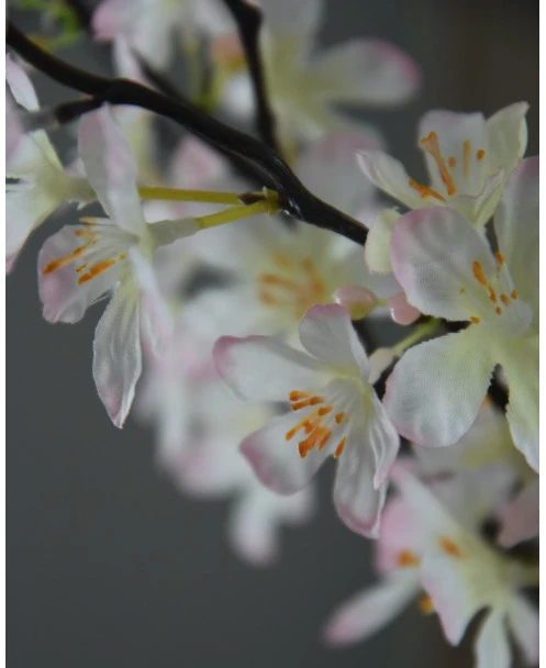 Appelbloesem Tak Zacht Roze - Afbeelding 8