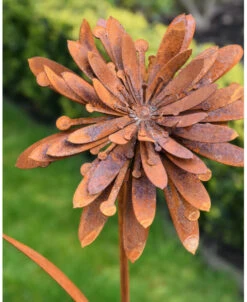 Bloemen Tuinprikker Beemdkroon Ecoroest