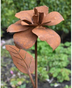 Bloemen Tuinprikker Engelse Roos Ecoroest