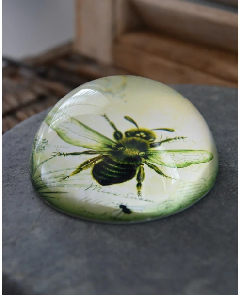 Botanische Insect Presse Papier Bij, Groot - Afbeelding 2