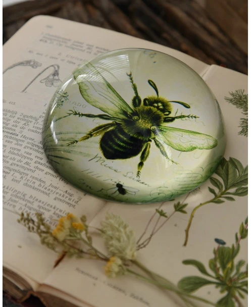 Botanische Insect Presse Papier Bij, Groot - Afbeelding 3