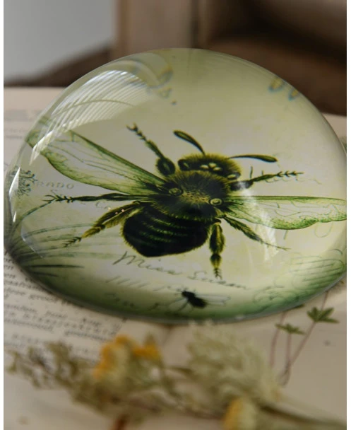 Botanische Insect Presse Papier Bij, Groot - Afbeelding 4