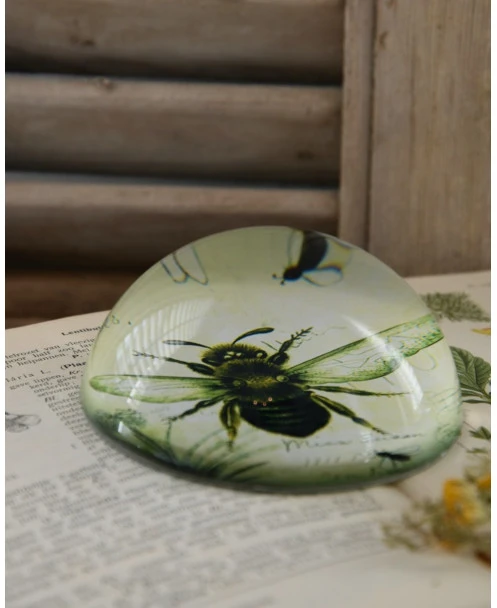 Botanische Insect Presse Papier Bij, Groot - Afbeelding 5