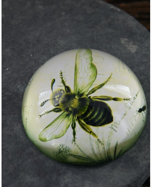 Botanische Insect Presse Papier Bij, Groot - Afbeelding 6