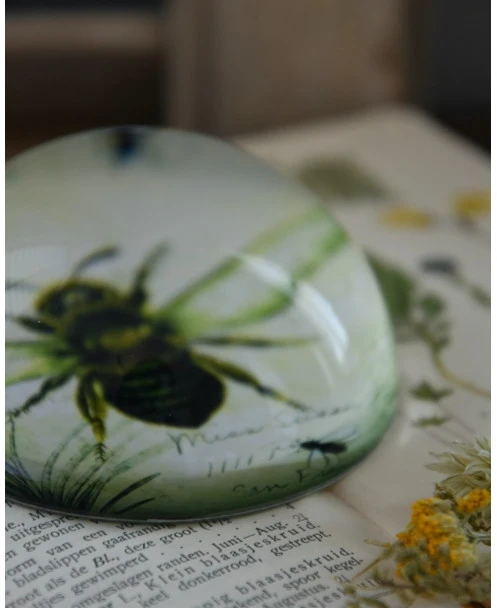 Botanische Insect Presse Papier Bij, Groot - Afbeelding 7