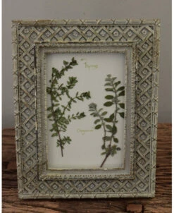 Brocante Lijstje Met Geperst Kruiden