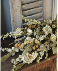 Droogbloem Toef In Gemengd Naturel Crème