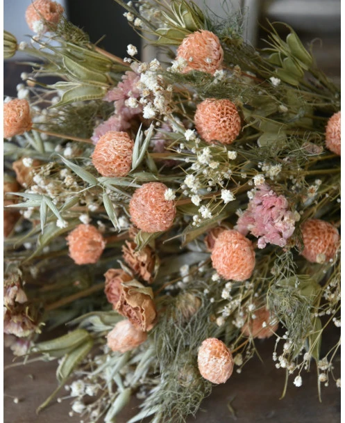 Droogbloem Toef In Pastel - Afbeelding 4