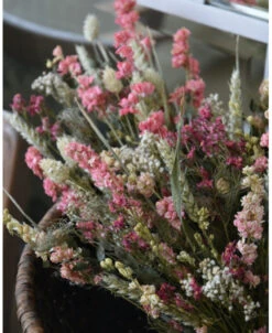Droogbloem Toef In Pastel Roze, Een Vleugje Wit En Groen