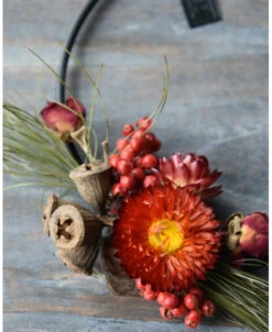 Droogbloem Toefje In Het Rood Op Een Krans Ring