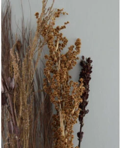 Gedroogde Gemengde Grassen En Zaaddozen