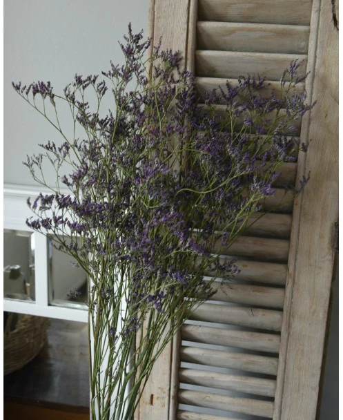 Gedroogde Limonium Fijn Paars Lila - Afbeelding 3