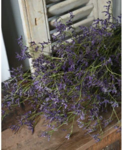 Gedroogde Limonium Fijn Paars Lila