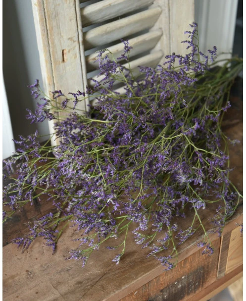 Gedroogde Limonium Fijn Paars Lila - Afbeelding 6