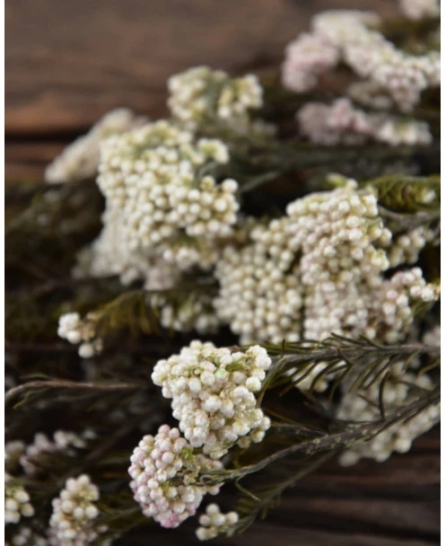 Gedroogde Rice Flower - Afbeelding 6