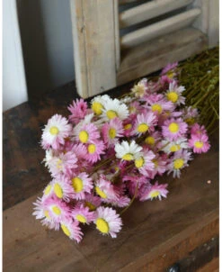 Gemengde Acroclinium Droogbloemen In Wit En Roze