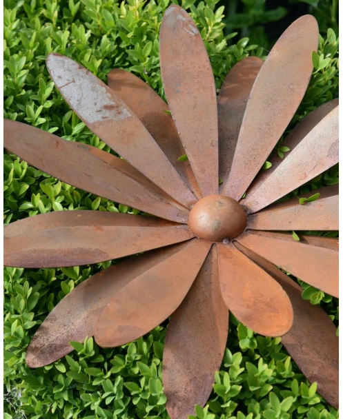 Grote Bloem Ecoroest In 3D Als 'wand' Tuindecoratie