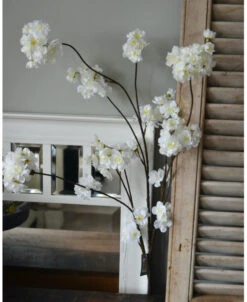 Grote Bloesem Tak Met Weelderige Witte Trossen Bloemen