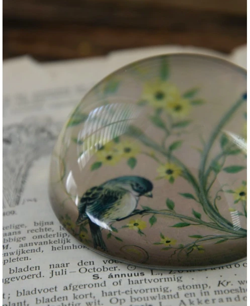 Halve Bol Van Glas Met Vogels In Pastel - Afbeelding 8