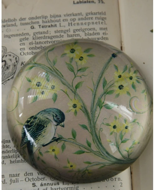 Halve Bol Van Glas Met Vogels In Pastel