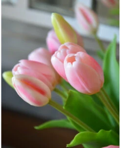 Hollandse Roze Tulpen Bos A 5 Stuks