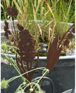 Hyacint Met Bol Op Prikker, Metaal Roest