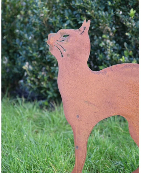 Kat Met Hoge Rug Op Tuinprikker - Afbeelding 3