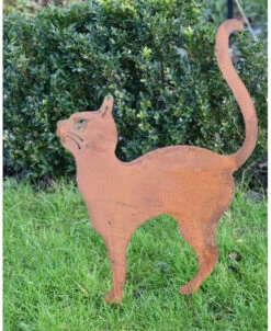 Kat Met Hoge Rug Op Tuinprikker