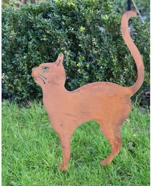 Kat Met Hoge Rug Op Tuinprikker