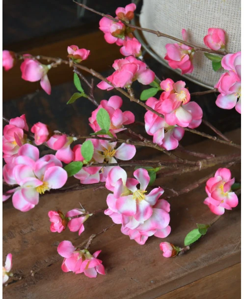 Kersenbloesem Tak Prunus Met Roze Bloemetjes - Afbeelding 2