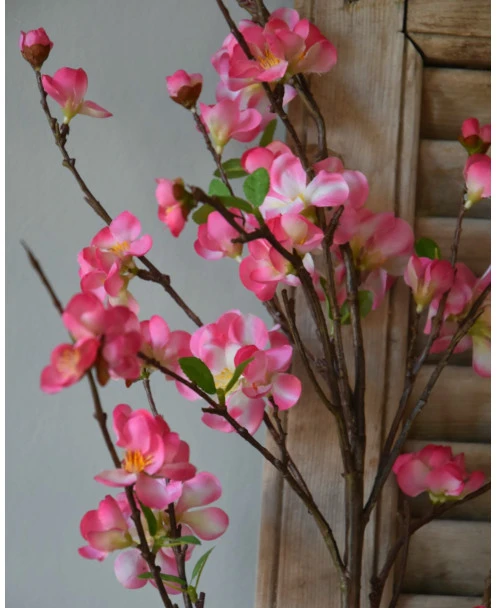 Kersenbloesem Tak Prunus Met Roze Bloemetjes - Afbeelding 5