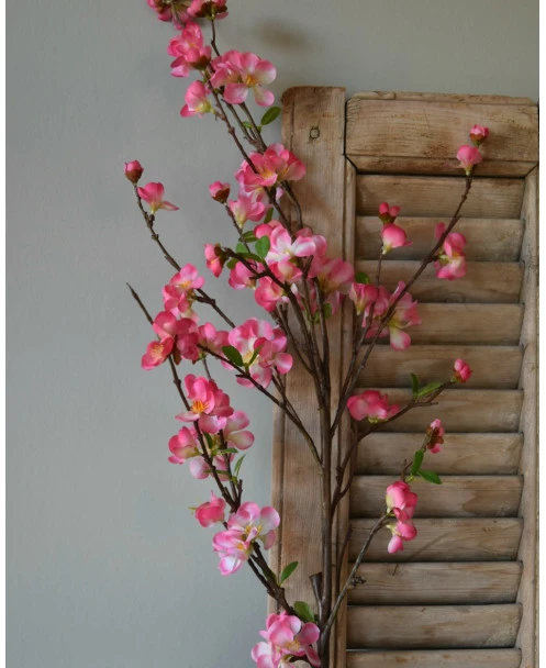 Kersenbloesem Tak Prunus Met Roze Bloemetjes - Afbeelding 6