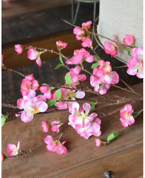Kersenbloesem Tak Prunus Met Roze Bloemetjes - Afbeelding 7
