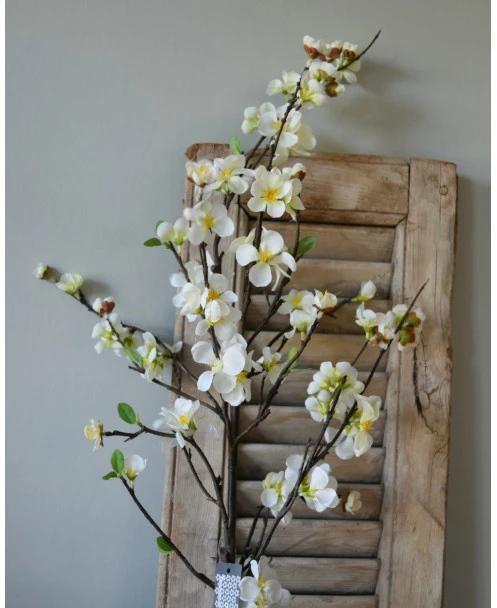 Kersenbloesem Tak Prunus Met Witte Bloemetjes - Afbeelding 2