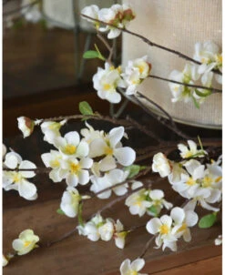 Kersenbloesem Tak Prunus Met Witte Bloemetjes