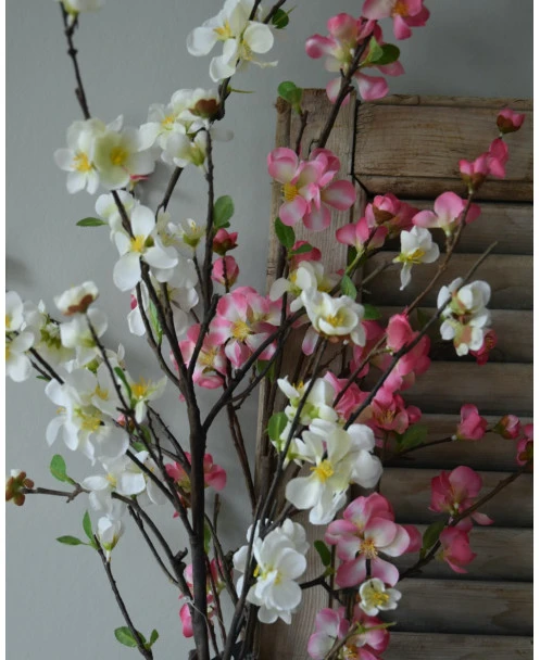 Kersenbloesem Tak Prunus Met Witte Bloemetjes - Afbeelding 4