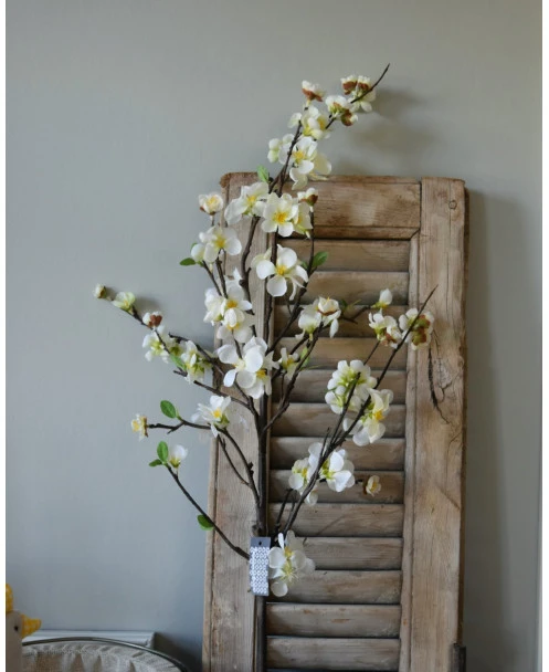 Kersenbloesem Tak Prunus Met Witte Bloemetjes - Afbeelding 6