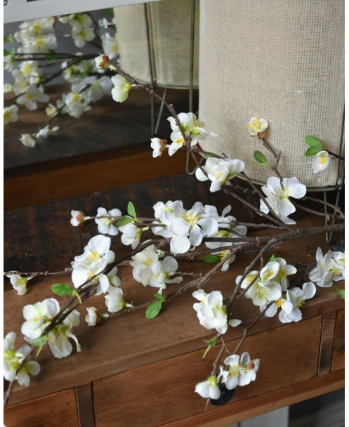 Kersenbloesem Tak Prunus Met Witte Bloemetjes - Afbeelding 7