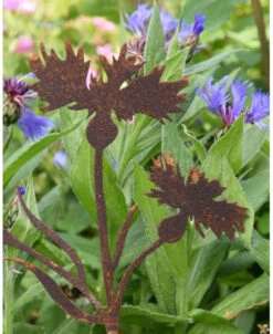 Korenbloem Tuinprikker, Metaal Roest