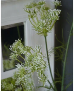 Lange Vertakte Bloementak Witte Dille