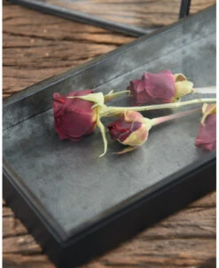 Langwerpig Kistje Met Glazen Deksel