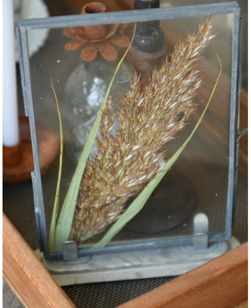 Lijstje Met Geperste Graspluim - Afbeelding 2