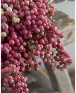 Gedroogde Peperbessen Roze Per Bos