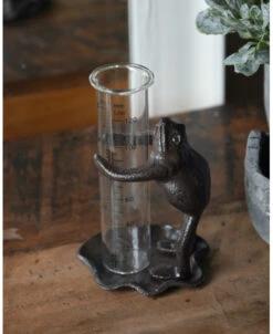 Regenmeter Kikker Op Lelieblad Die De Glazen Meter Vasthoud