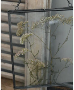 Geperste Schermbloemen In Een Lijst Met Kettinkje